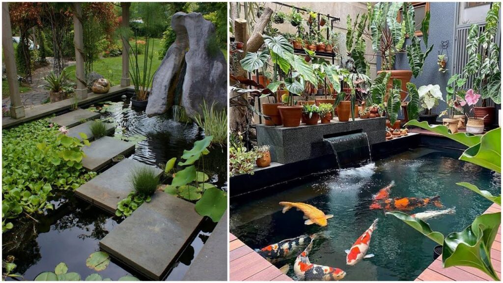 model kolam ikan minimalis