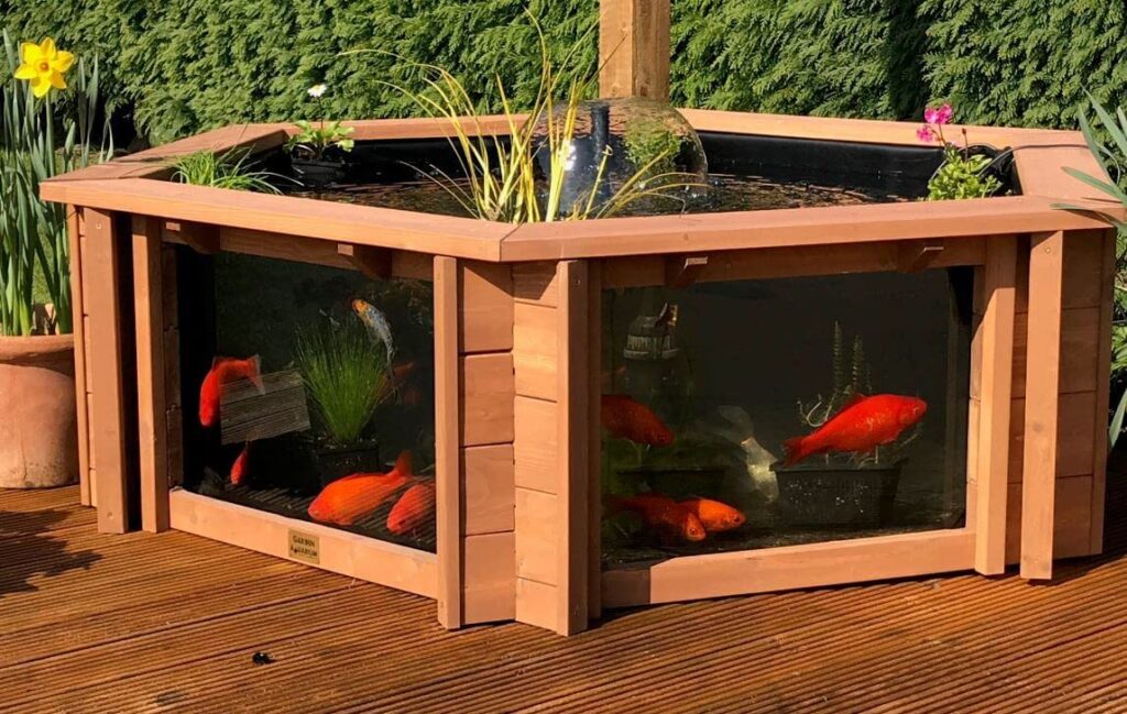 model kolam ikan minimalis