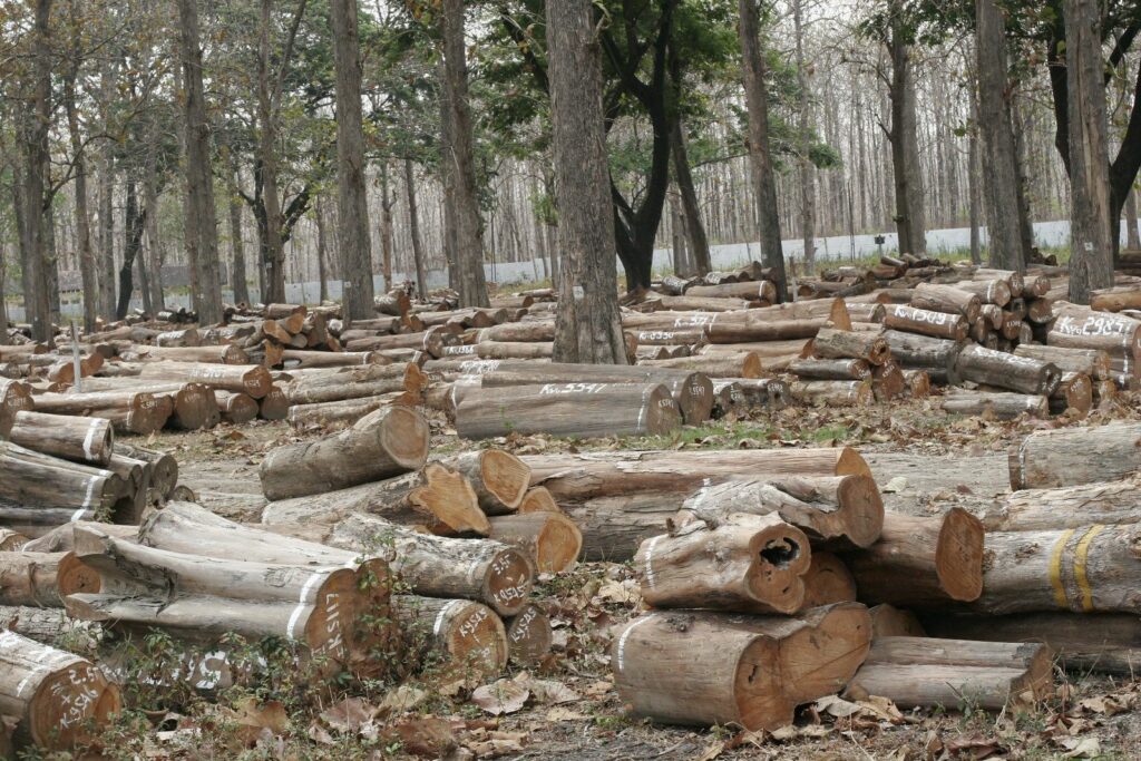 harga kayu jati per kubik