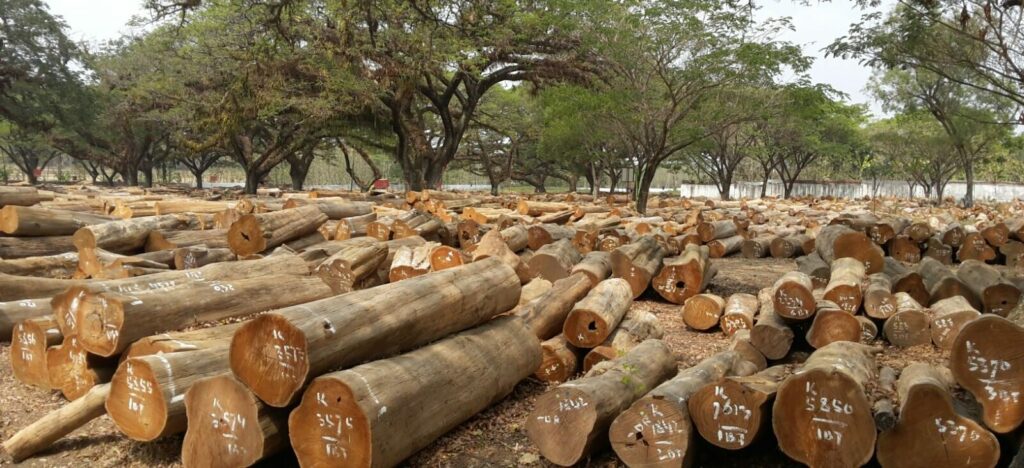 harga kayu jati per kubik