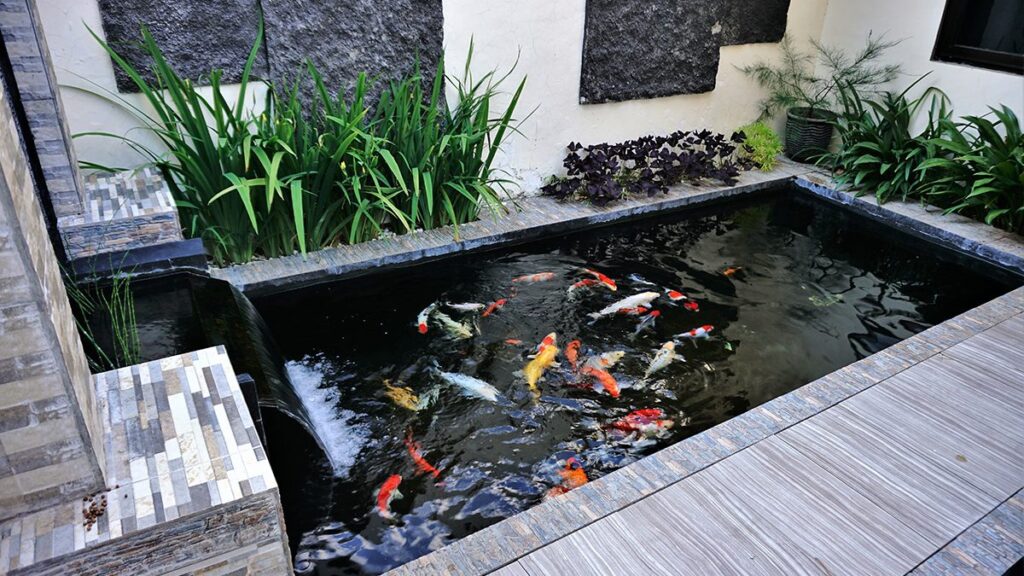 kolam ikan minimalis depan rumah