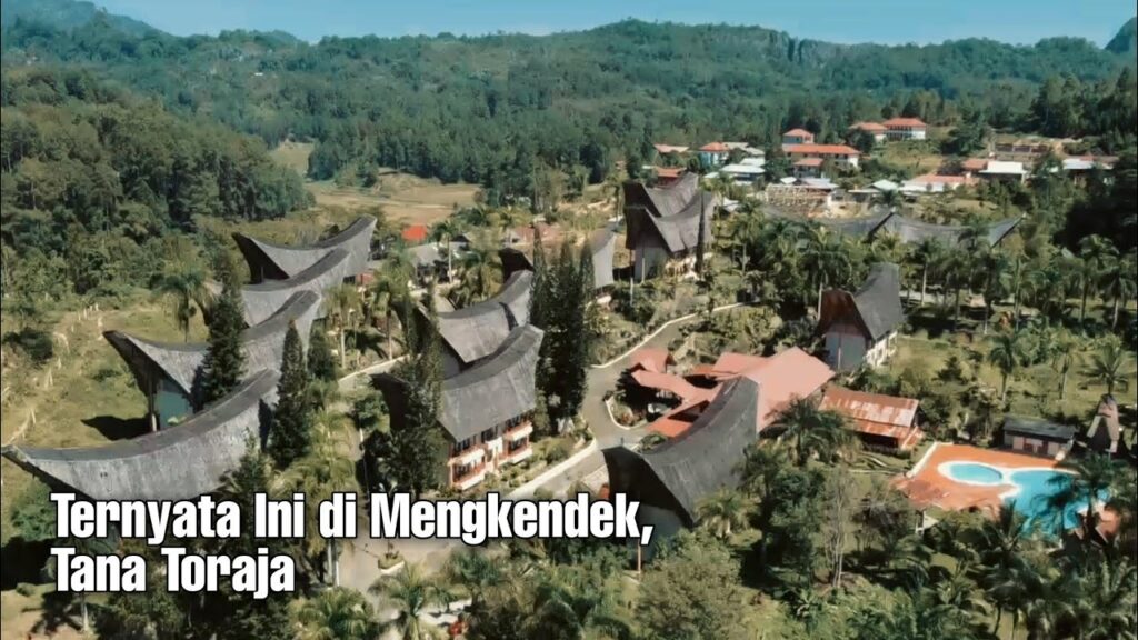 Landscape sawah dan Rumah Tongkonan